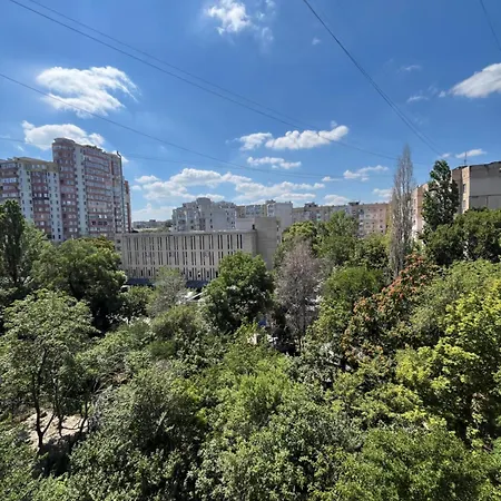 гвоздичний аркадія